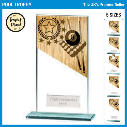 CR22209 Pool Trophy