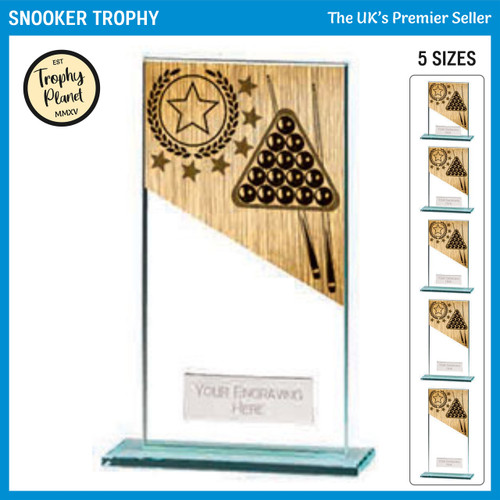 CR22210 Snooker Trophy