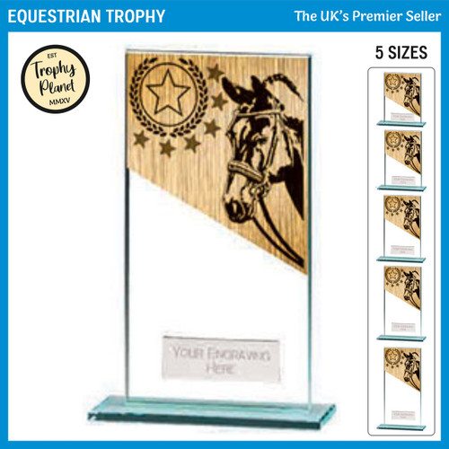 CR22215 Equestrian Trophy