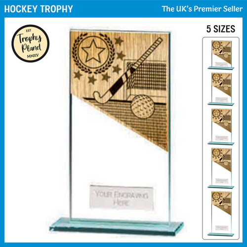 CR22216 Hockey Trophy
