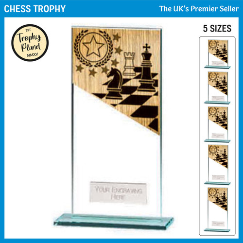 CR22227 Chess Trophy