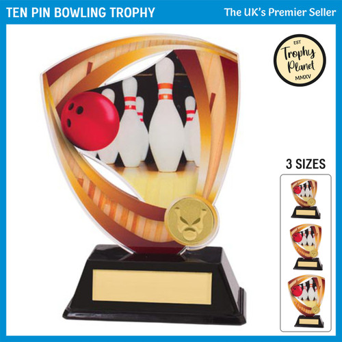 AC18513 Ten Pin Bowling Trophy