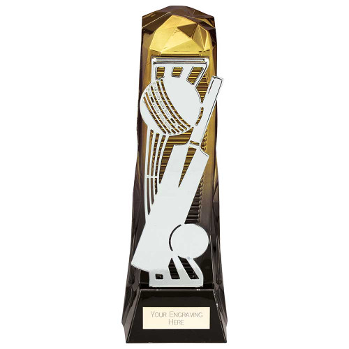 PA24021 Cricket Trophy