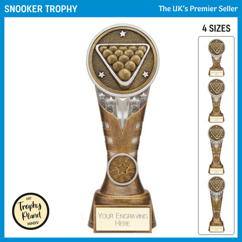 PA24161 Snooker Trophy
