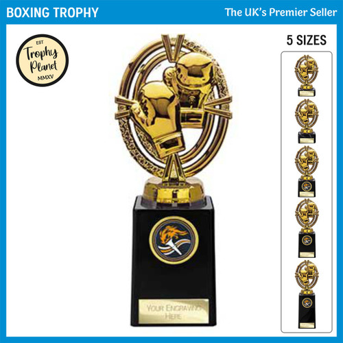 TH26535 Boxing Trophy