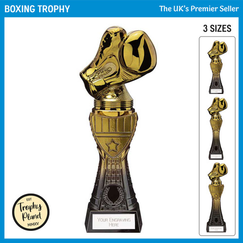PM24079 Boxing Trophy