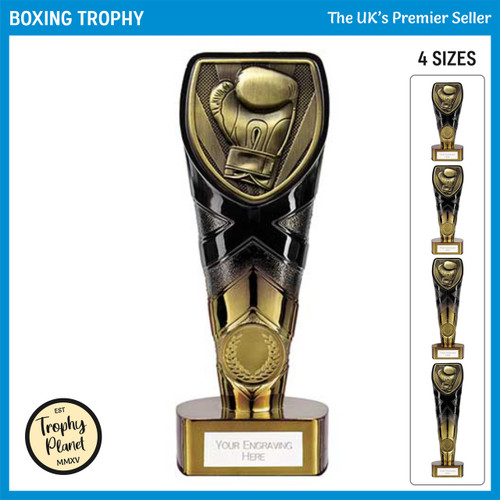 PM24213 Boxing Trophy