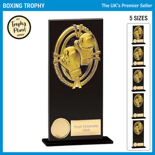 CR24103 Boxing Trophy