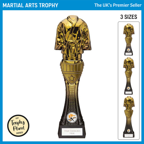 PM24077 Martial Arts Trophy