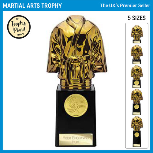 TH24077 Martial Arts Trophy