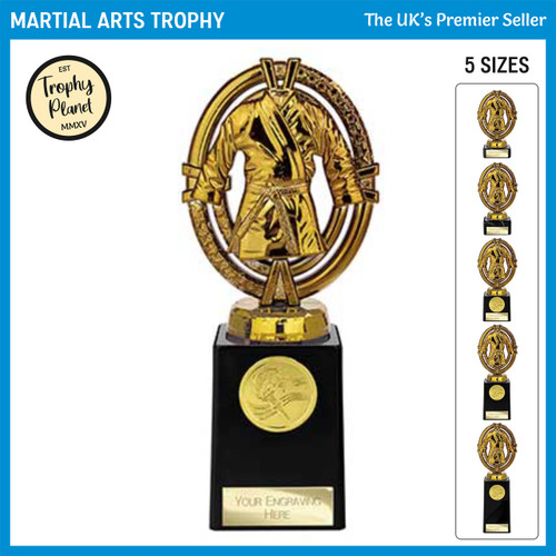 TH24115 Martial Arts Trophy
