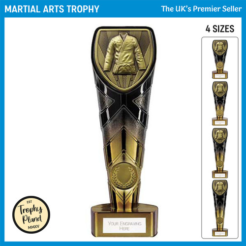 PM24201 Martial Arts Trophy