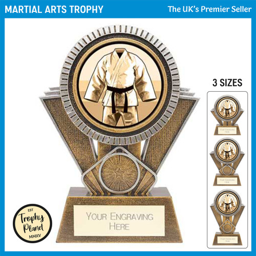 PM24361 Martial Arts Trophy