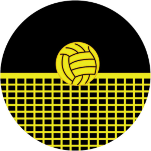 950A - Volleyball Centre