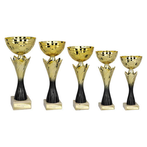 TR25568 Multi Sport Cup