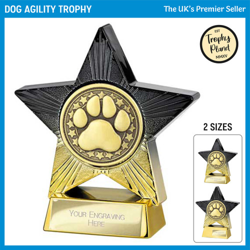 PA25046 Dog Agility Trophy
