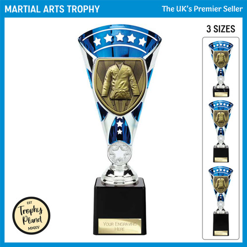 TB24201 Martial Arts Trophy