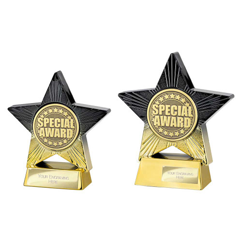 PA25169 Special Award Trophy
