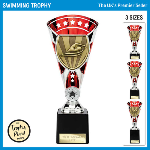 TD25138 Swimming Trophy