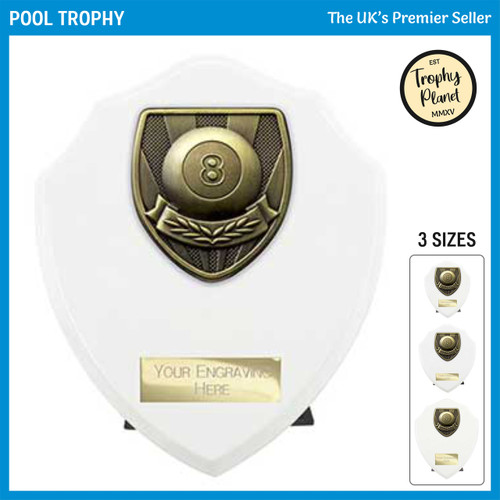 PT24204 Pool Trophy
