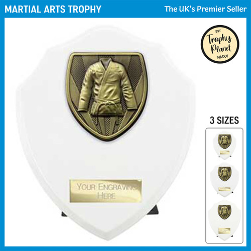 PT24201 Martial Arts Trophy