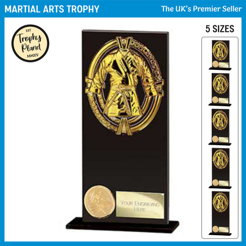 CR25647 Martial Arts Trophy