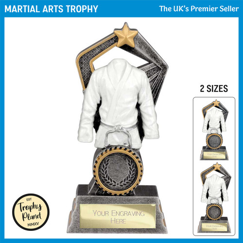 RF25141 Martial Arts Trophy
