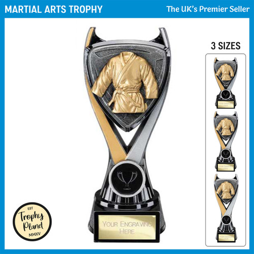 PA25020 Martial Arts Trophy