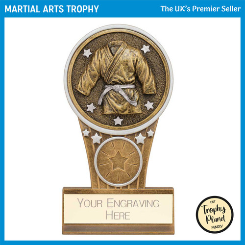 PA24232A Martial Arts Trophy