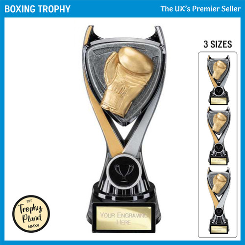 PA25013 Boxing Trophy