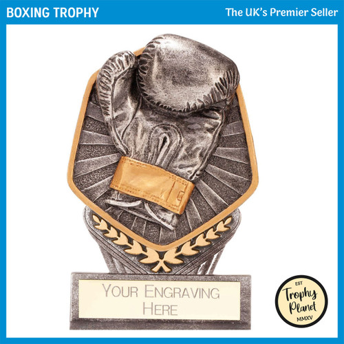 PA22052A Boxing Trophy