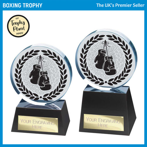 CR25245 Boxing Trophy