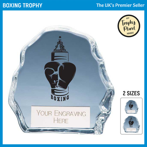 CR25255 Boxing Trophy