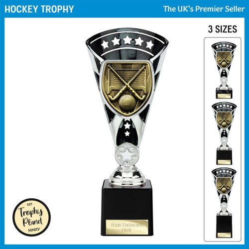 TR24219 Hockey Trophy
