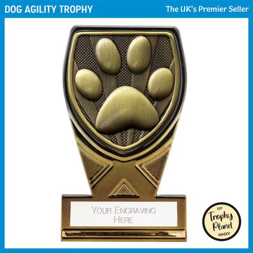 PM24223A Dog Agility Trophy