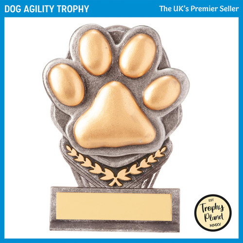 PA20061A Dog Agility Trophy