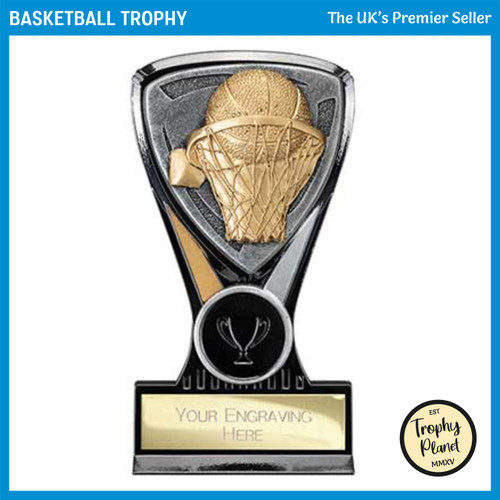 PA25012A Basketball Trophy