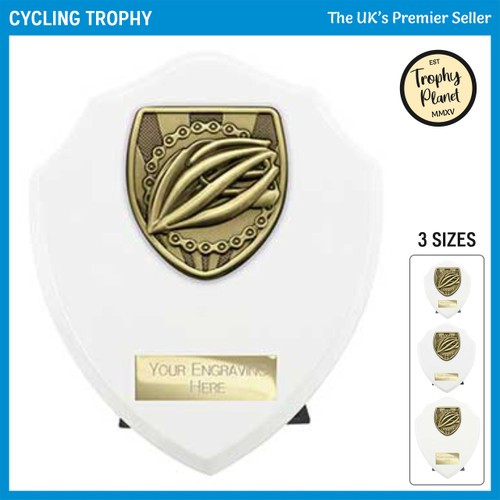 PT25139 Cycling Trophy