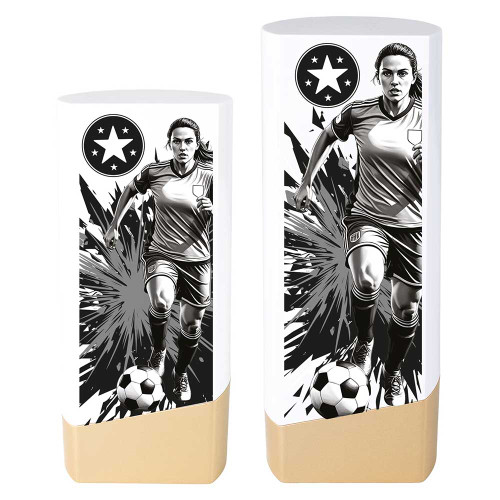 PW26237 Football Trophy