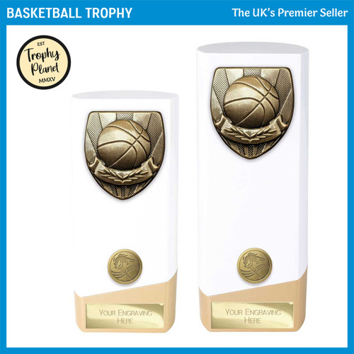 PW24196 Basketball Trophy