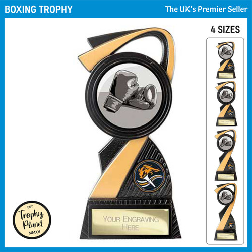 PA26617 Boxing Trophy
