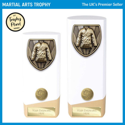 PW24201 Martial Arts Trophy
