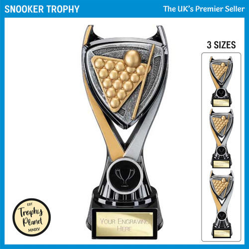 PA25029 Snooker Trophy