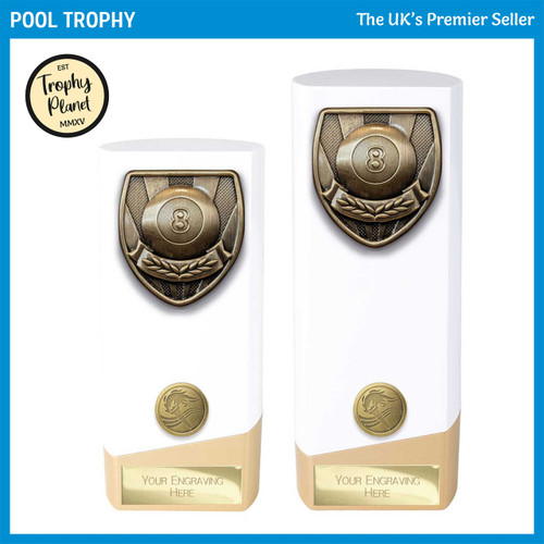 PW24204 Pool Trophy