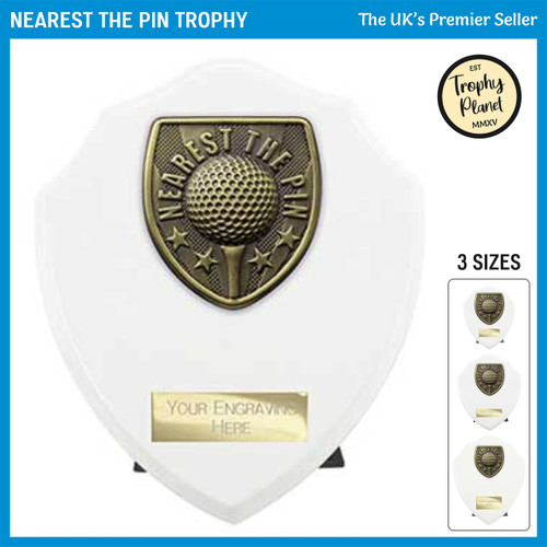 PT24211 Golf Trophy
