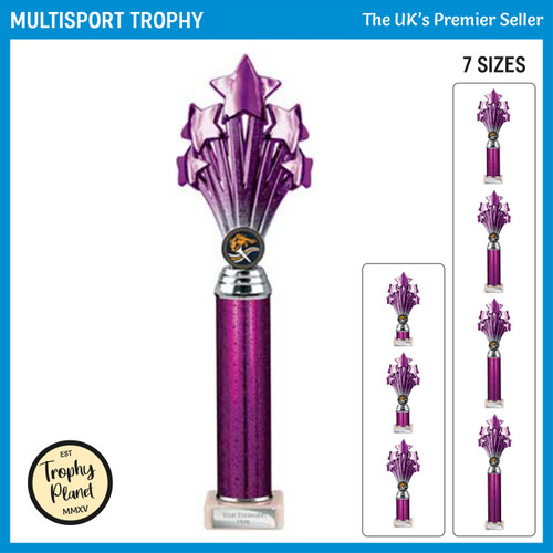 TR26552 (5 Star) Multisport Trophy
