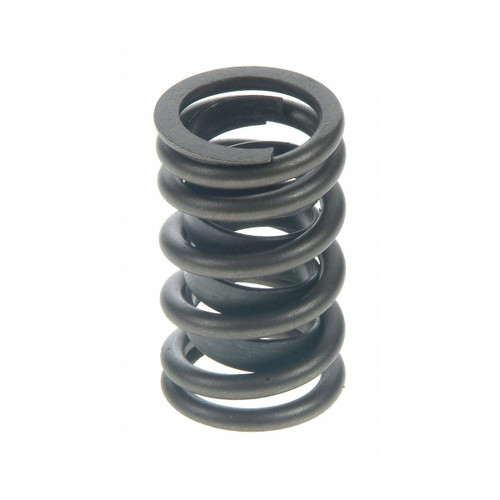Sealed Power Valve Spring (VS521)