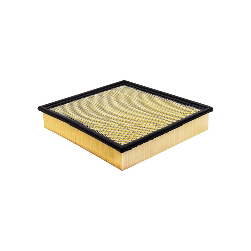 Baldwin PA10427 Panel Air Element | GMC, Ford