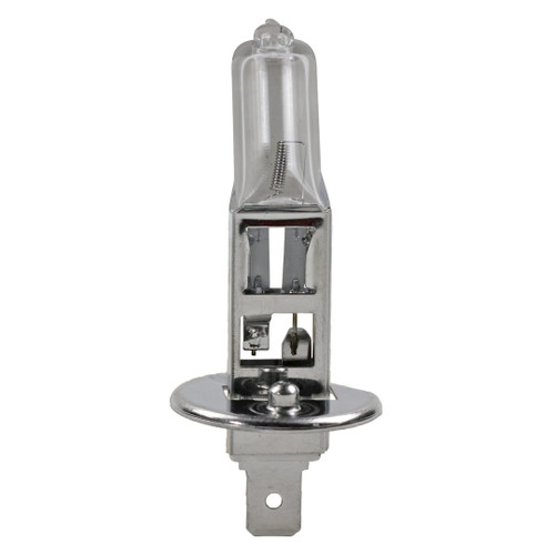 wagner lighting BP1255/H1 - Multi-Purpose Light Bulb