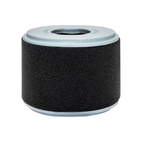 Baldwin PA4552 Oval Air Element with Foam Wrap | Honda